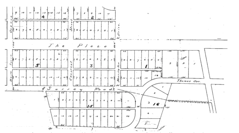 Plaza Midwood Historic District Walking Tour - History South