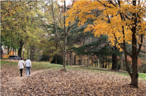 Dilworth, Streetcar Suburb - Self-guided Walk - History South